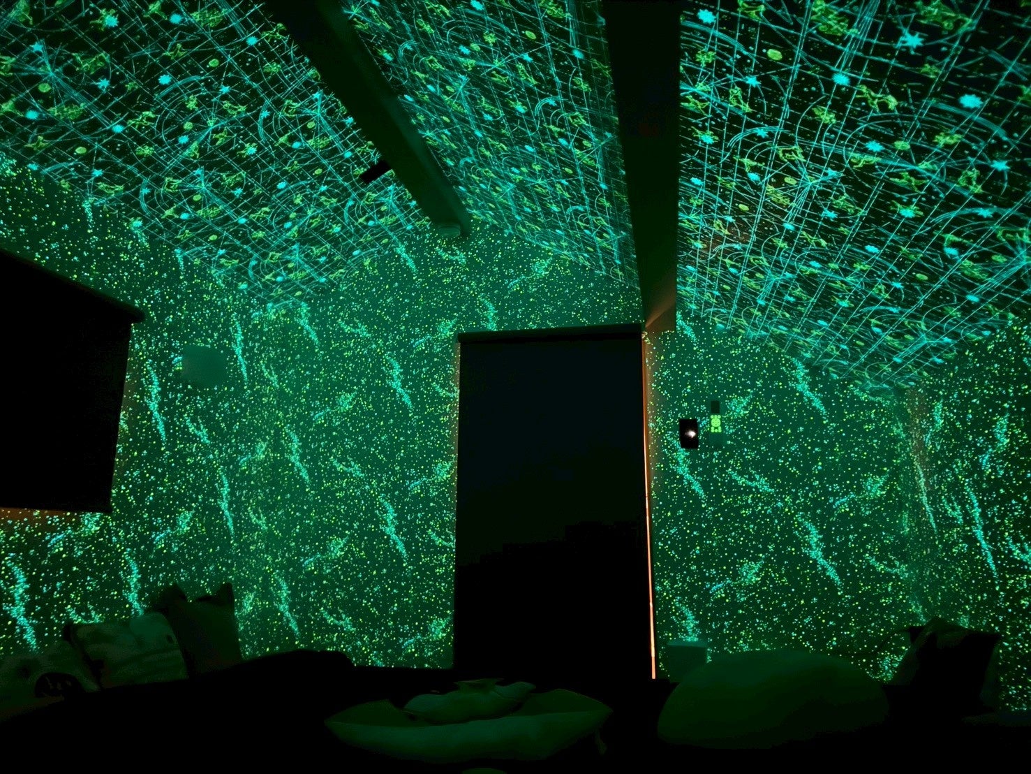 プラネタリウムの光に包まれる夜